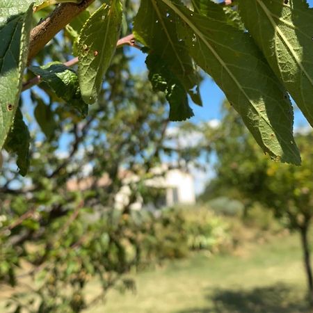 Gites Du Mas De Surlan Chantemerle-les-Blés Exterior foto
