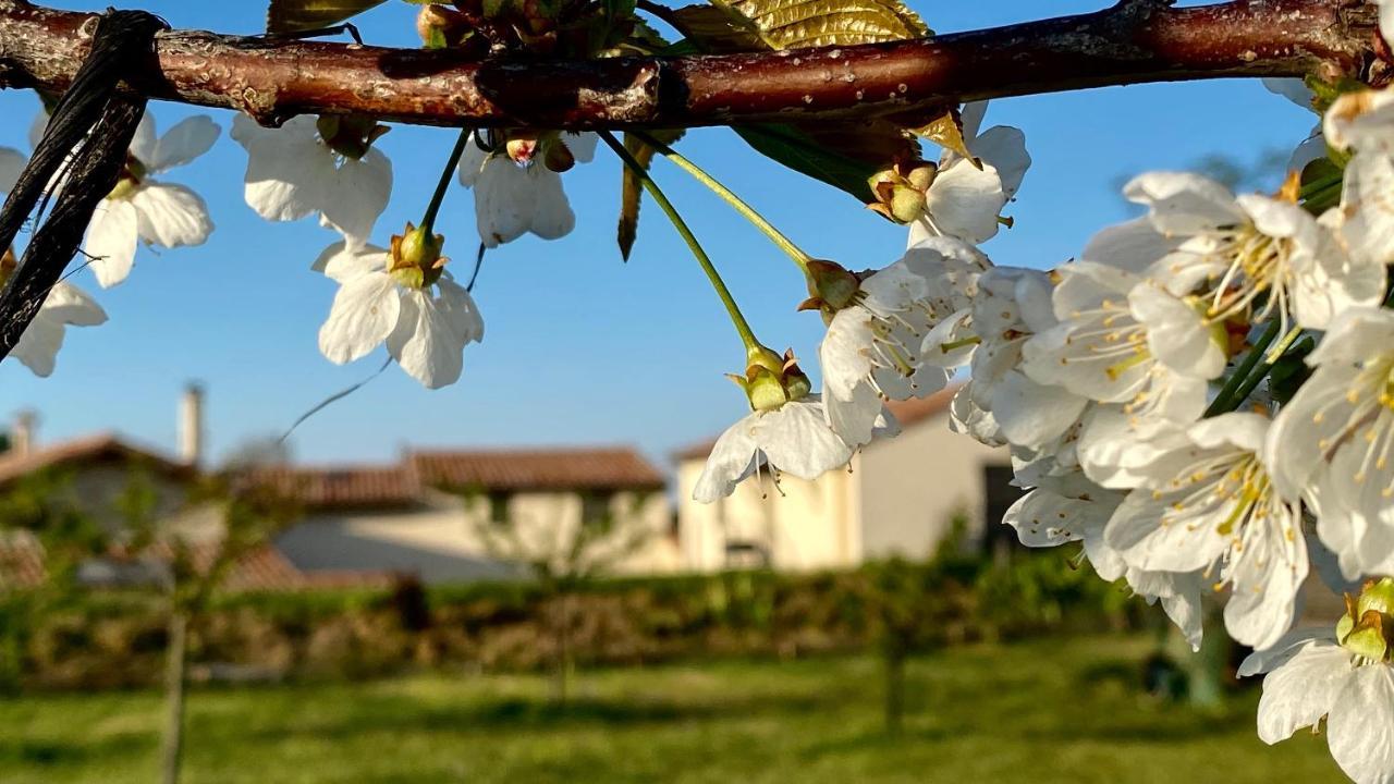 Gites Du Mas De Surlan Chantemerle-les-Blés Exterior foto