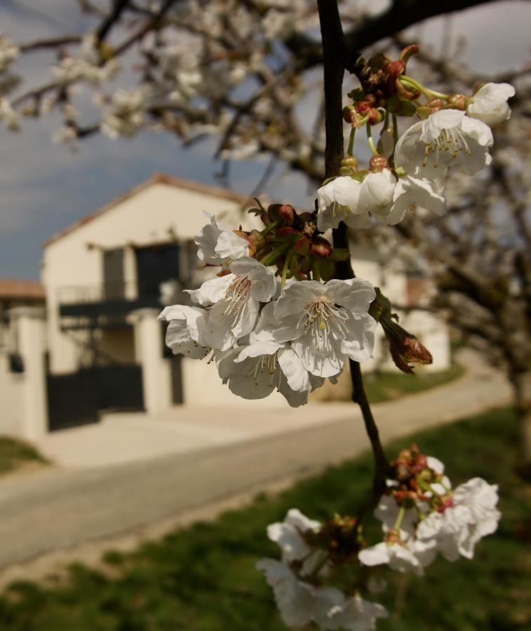 Gites Du Mas De Surlan Chantemerle-les-Blés Exterior foto